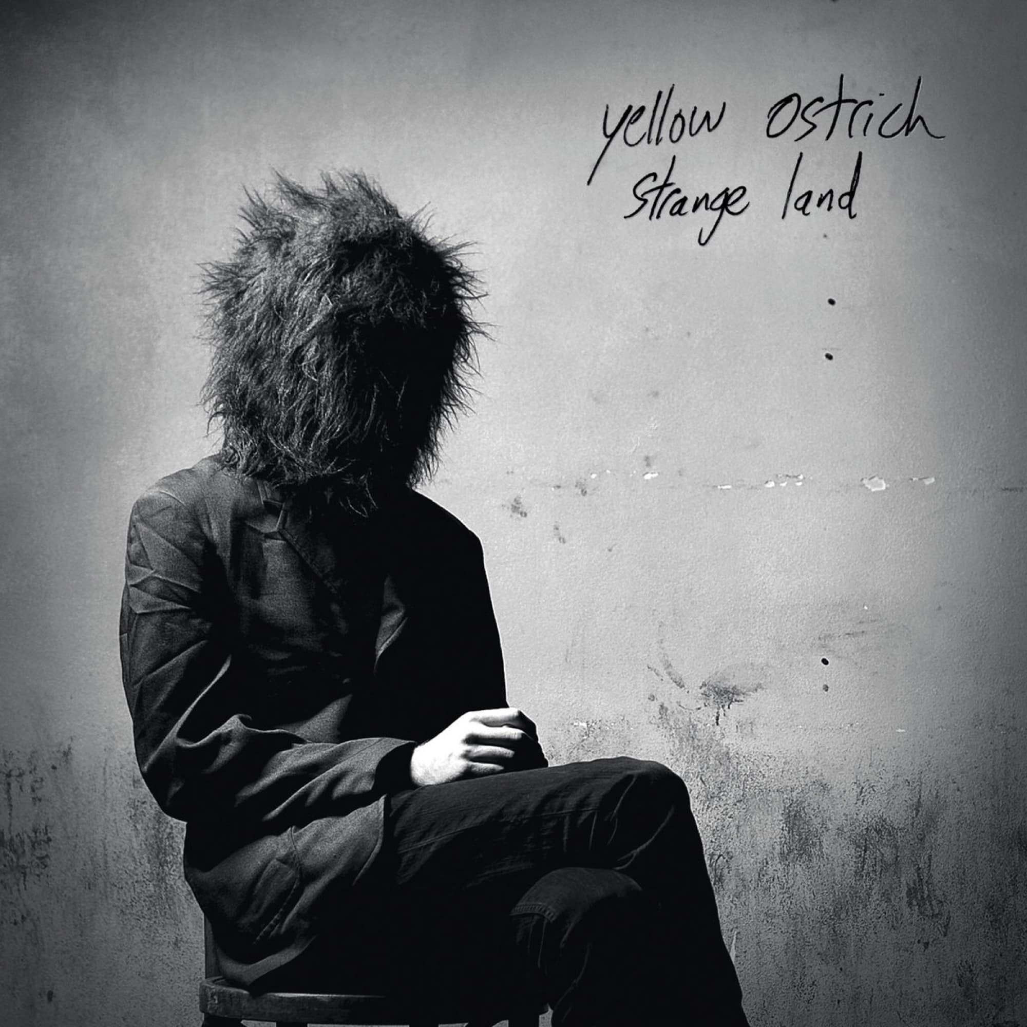 STRANGE LAND cover